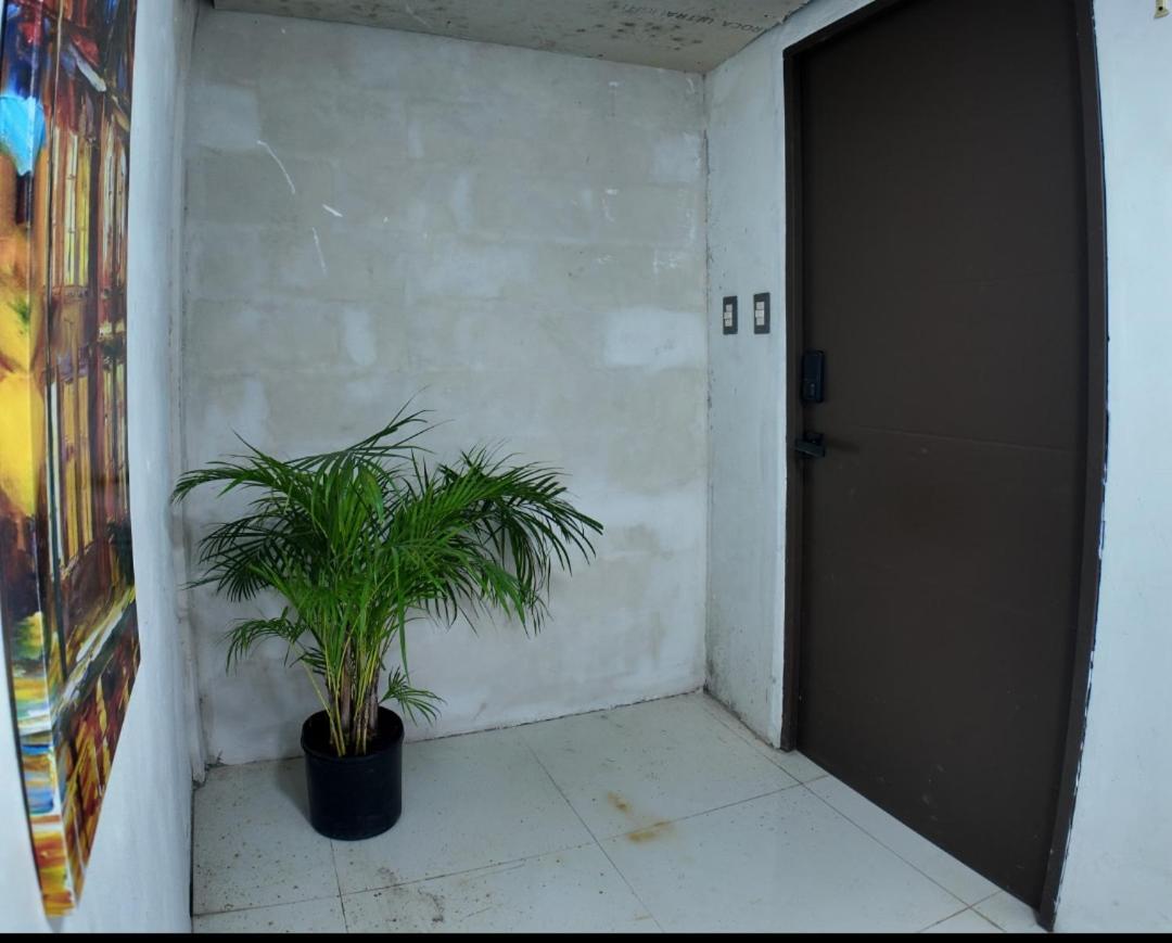 Apartment Terrazas